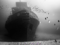 Tugboat Rozi was scuttled at Cirkewwa, an already popular... by Victor Micallef 
